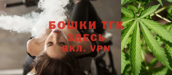 PSILOCYBIN Богородицк